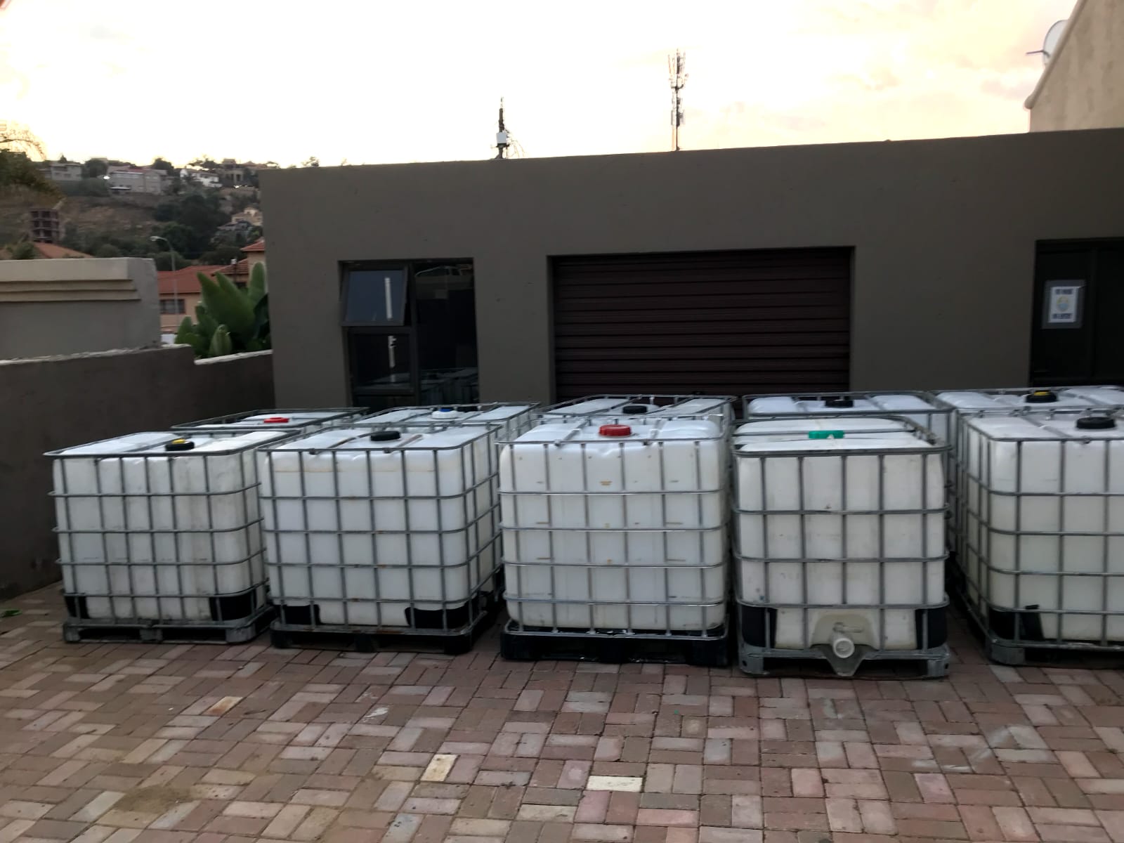 WhatsApp Image 2023-02-09 at 07.29.11